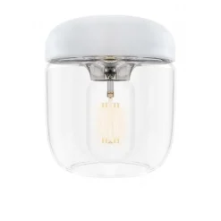 Acorn pendel