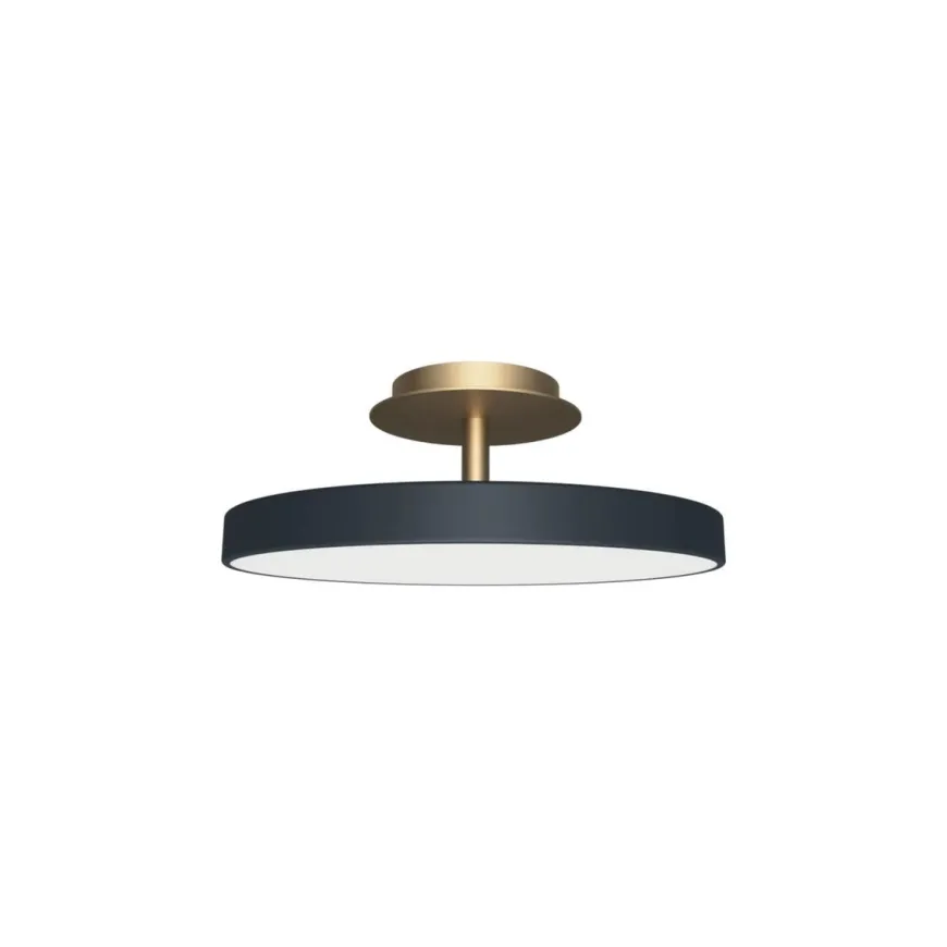 Asteria Plus medium