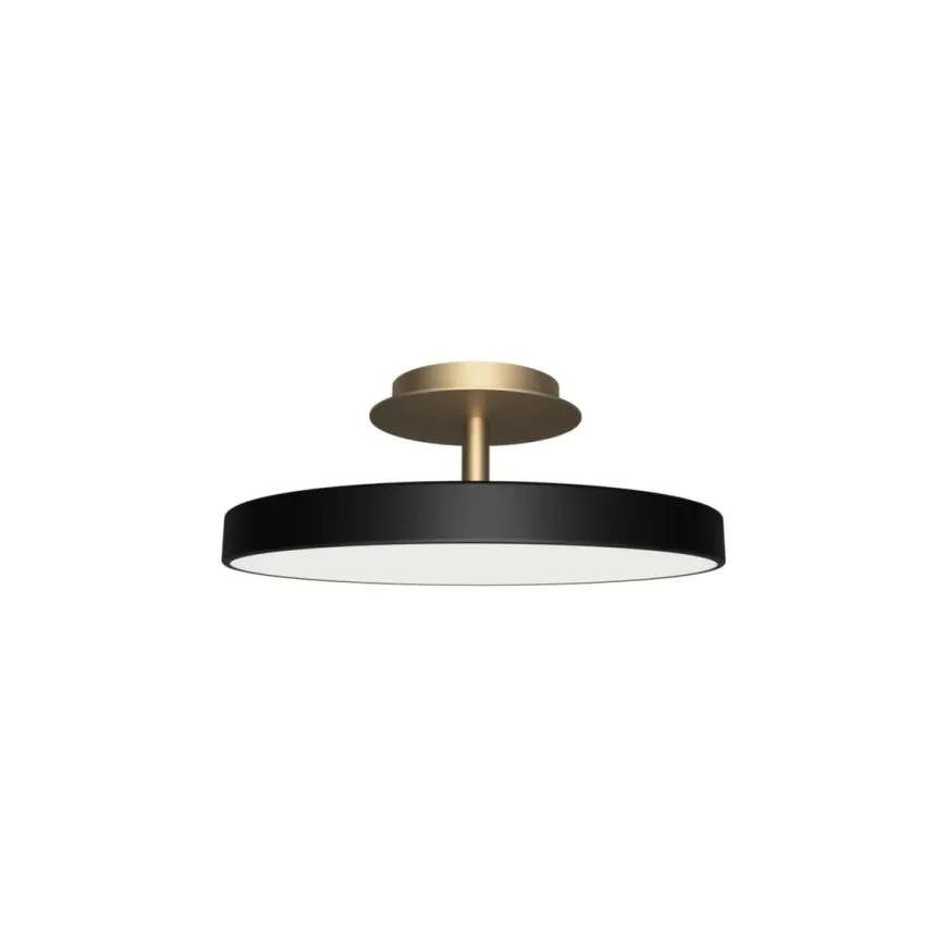 Asteria Plus medium
