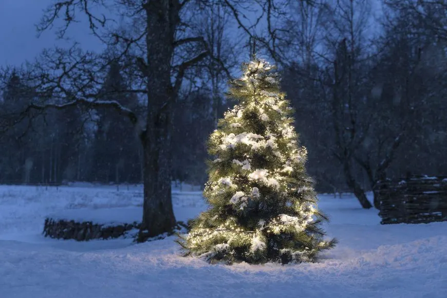 Juletrelys 8,5m - Cluster 1152 multifunksjon Led IP44 - Amber