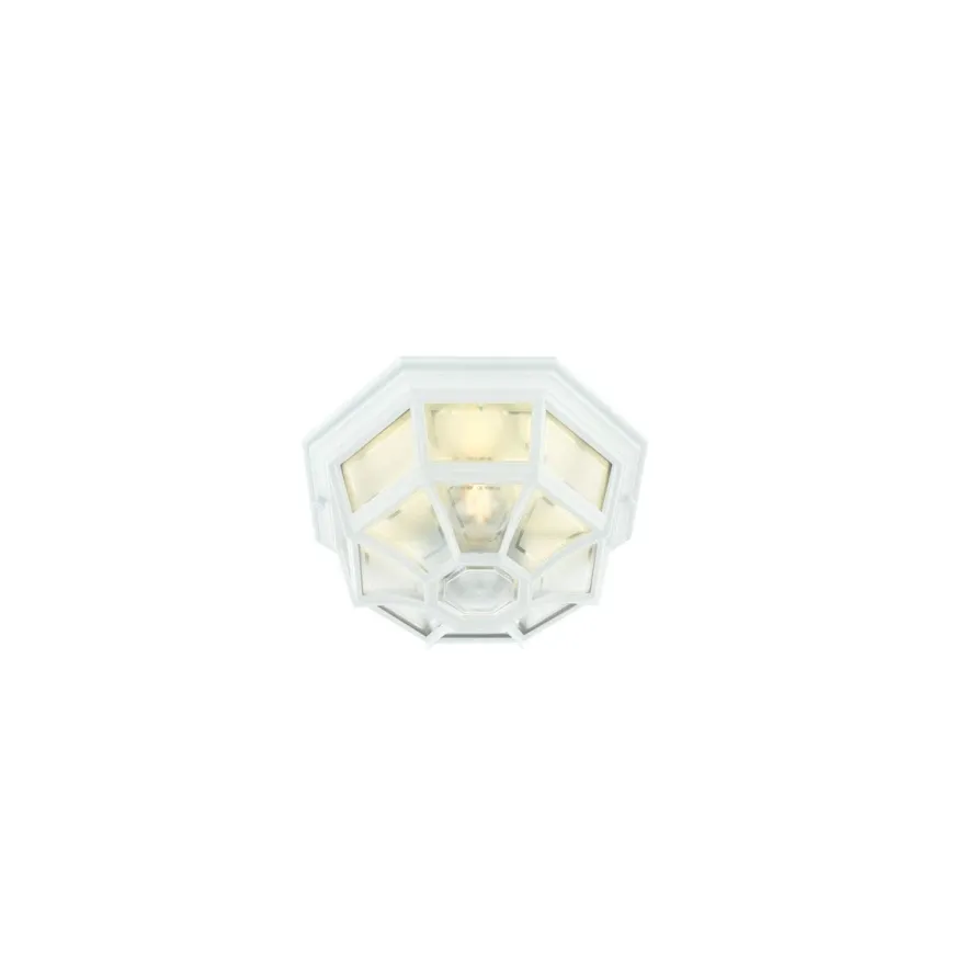 Latina