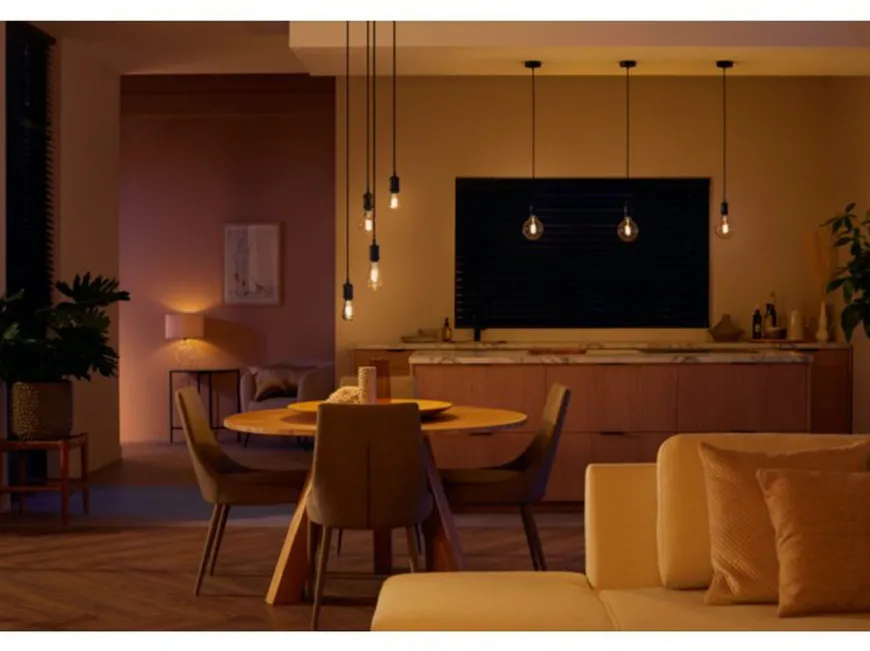 Philips Hue white LED 7W E27 G125 2200-4500 Kelvin - 125 mm