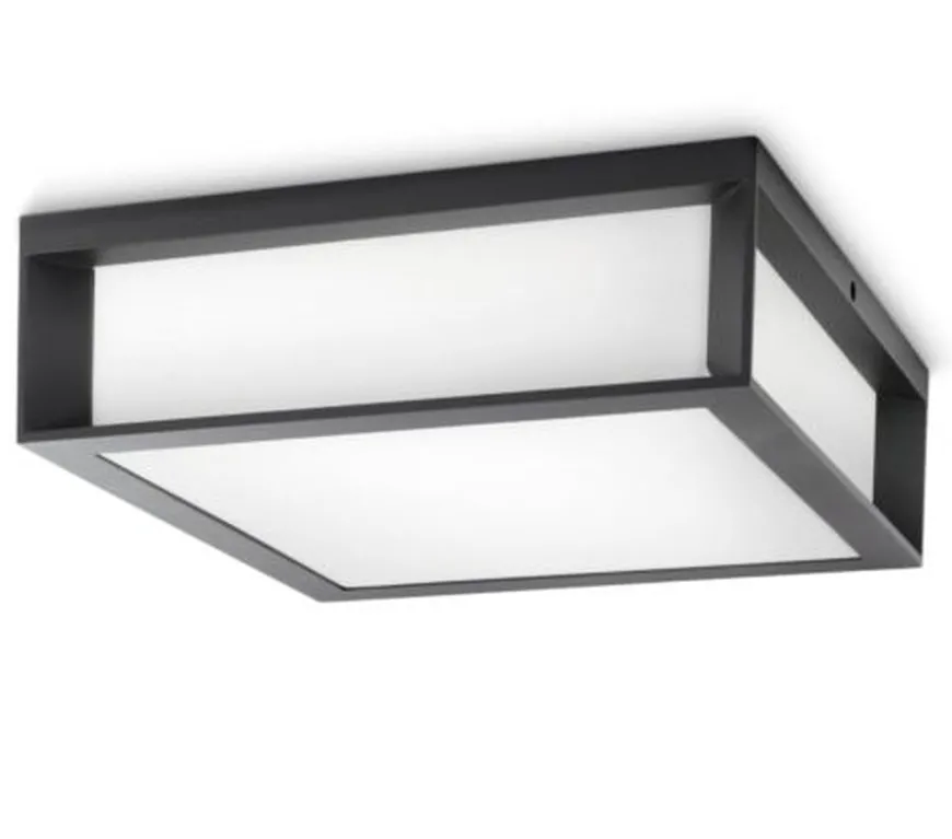 Philips Skies vegg/taklampe utendørs IP44 E27