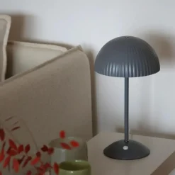 Zin bordlampe